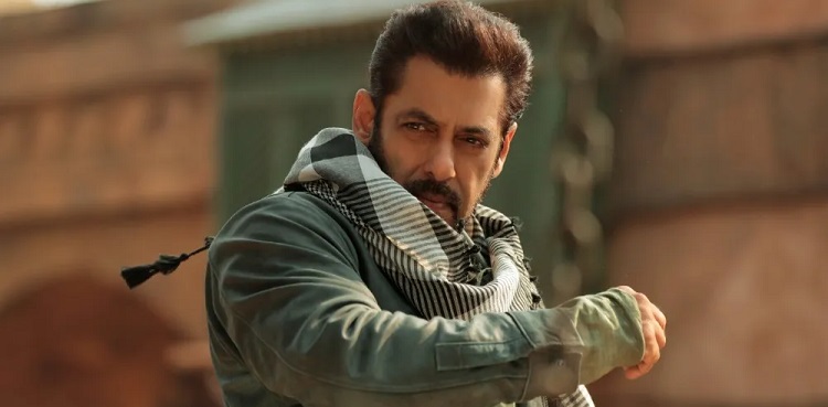 salman khan, tiger 3, success