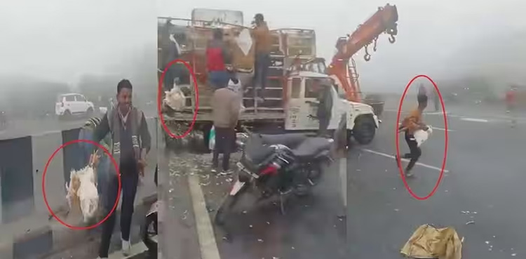 chickens loot, Viral video, People loot chickens, truck crashes