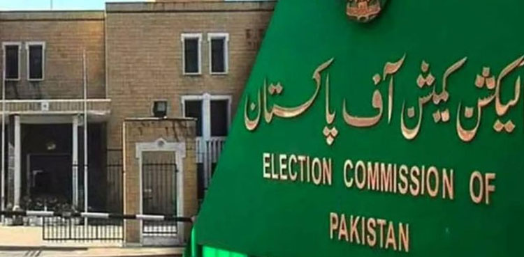 ECP, appeals, nomination papers