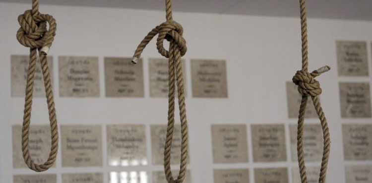 Senate body opposes public executions for capital offences