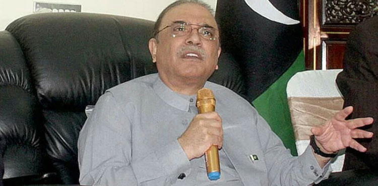 Asif Zardari, PPP seat adjustment, general elections 2024