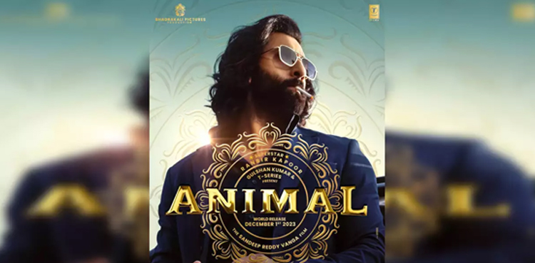 animal, animal movie, animal film, bollywood, swanand kirkire, animal movie criticism, ranbir kapoor,