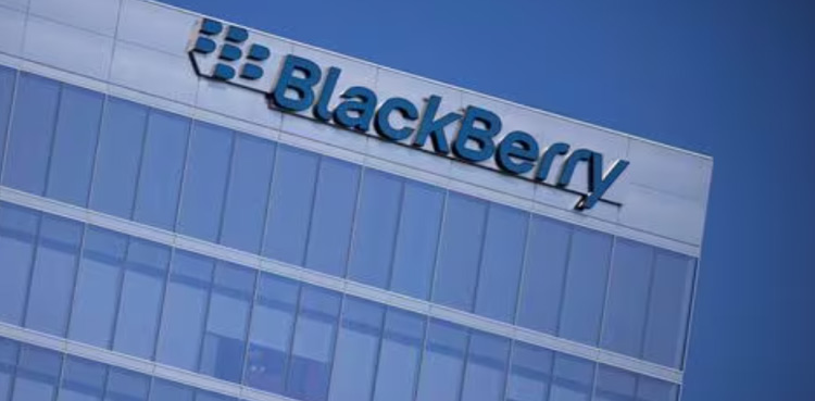 blackberry-profit