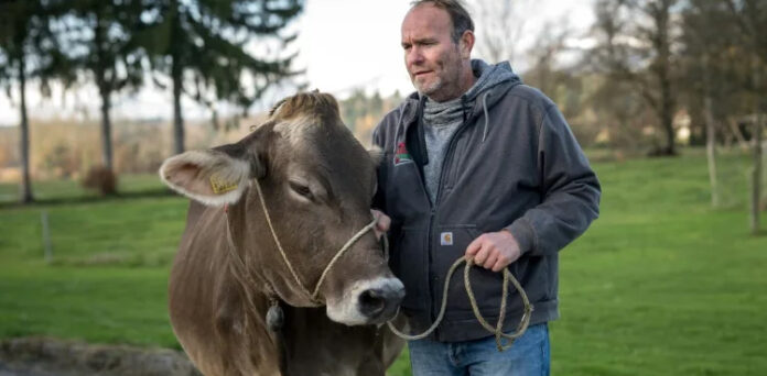 Newcomers ring the changes for traditional cowbells in picturesque Swiss  village