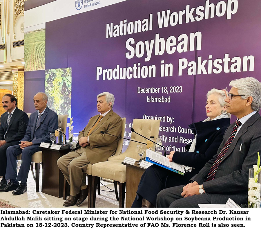 Soybean Pakistan