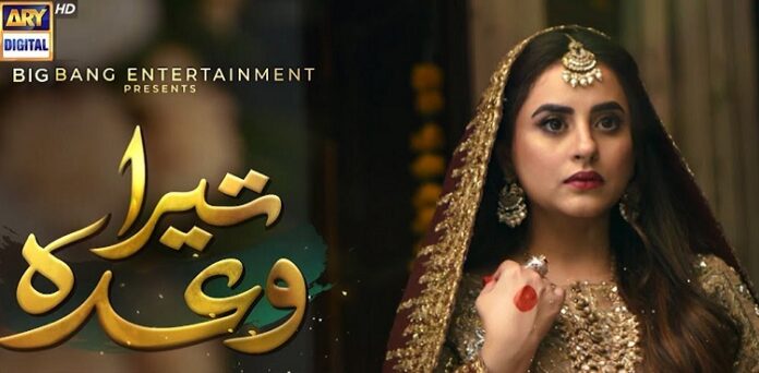 tera wada, first look, fatima effendi, sajjad pal