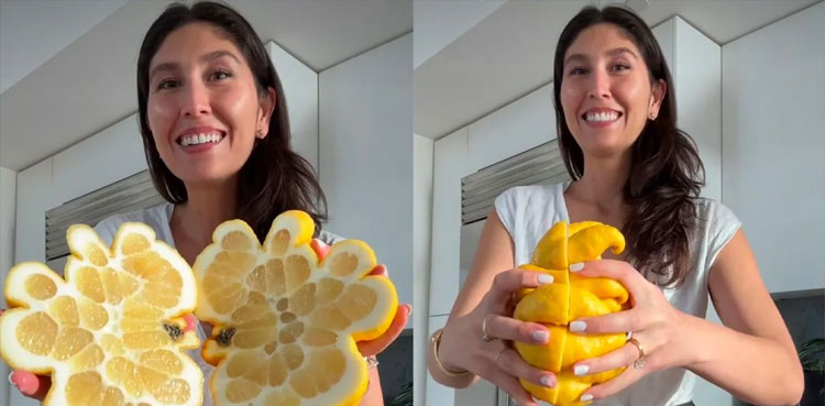 VIRAL VIDEO, Strange-shaped lemon, giant lemon