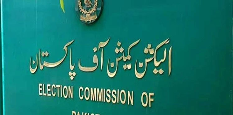 Election 2024, ECP, code of conduct violation