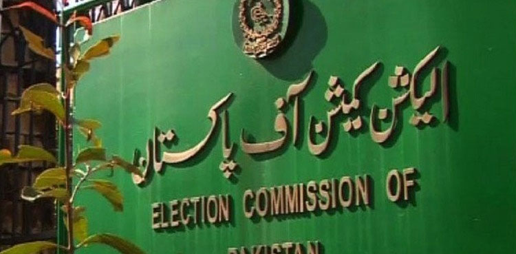 ECP, constituency, polling station, Election 2024