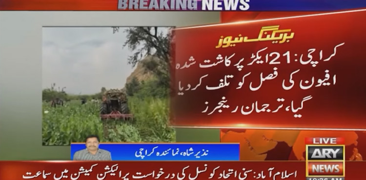 Opium-crop-destroyed-Sindh-Sindh-Rangers