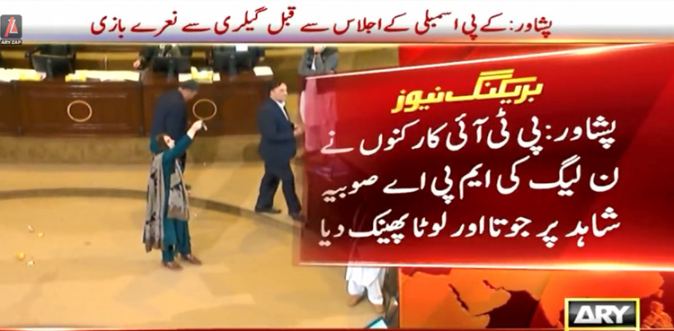 PTI-workers-shoe-lota-throw-PML-N-MPA-KP-Assembly