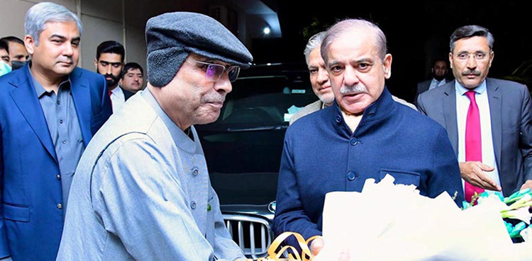 Shehbaz Sharif, President-elect Asif Zardari, congratulates on election