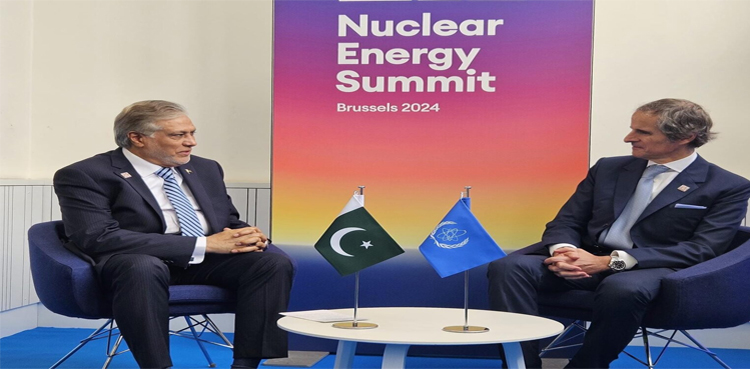 Ishaq Dar IAEA, Nuclear Energy Summit