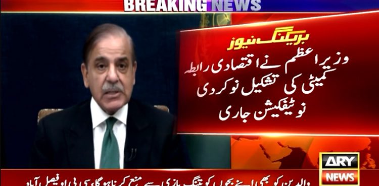 PM Shehbaz Sharif, Economic Coordination Committee (ECC) , Finance minister