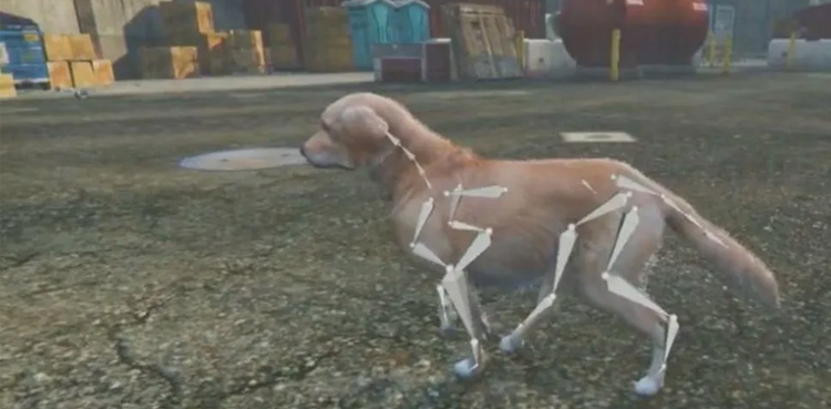 Grand Theft Auto, AI transform dog images tp 3D models