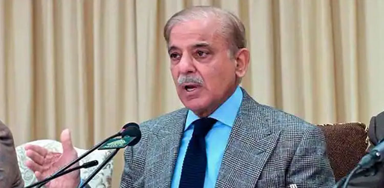 AJK protest, PM Shehbaz AJK