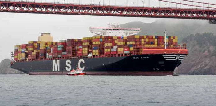 MSC Anna: World's largest cargo ship docks at Karachi Port