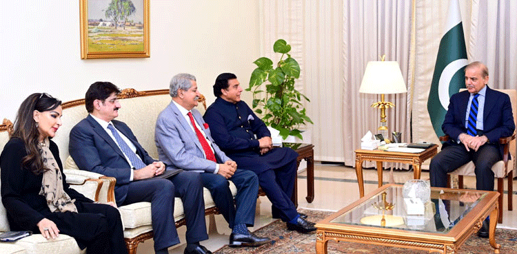 PPP delegation, Shehbaz Sharif, federal budget