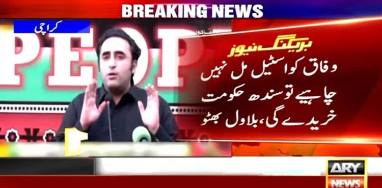 Bilawal Bhutto, Bilawal Bhutto privatisation, public-private partnership