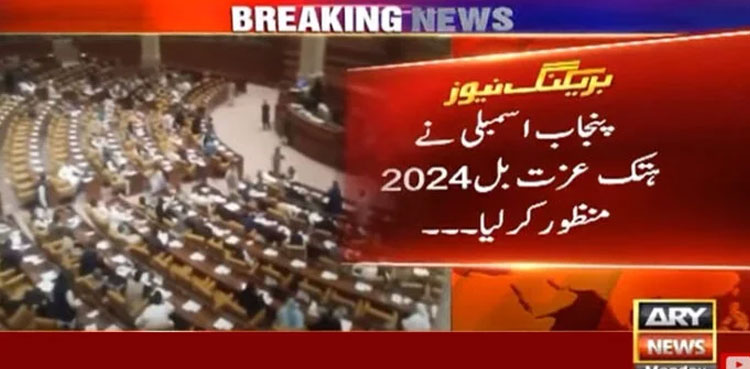 Punjab Assembly, Defamation Bill 2024