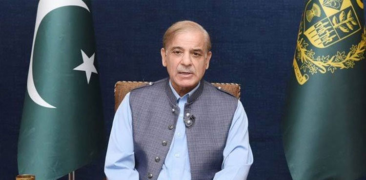 National Economic Council, PM Shehbaz