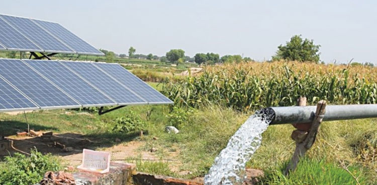 Govt to expedite conversion of tube wells on solar energy