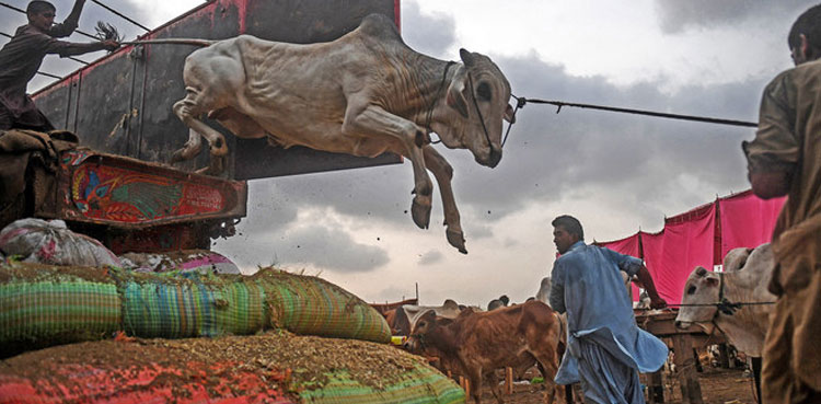 Eidul Adha: Sacrifice of animals, festivities continue on second day