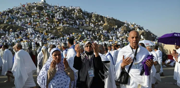 Muslim pilgrims pray on Mount Arafat in hajj climax