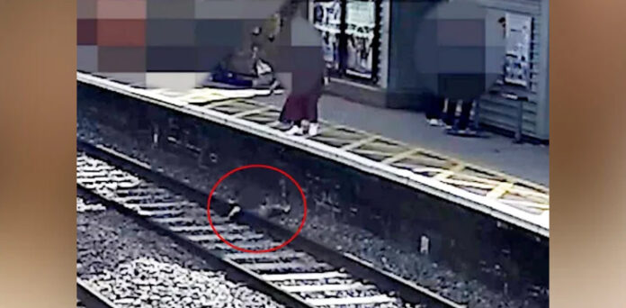 VIRAL, Child falls onto track, saved by stranger, train pulls into station