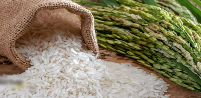 rice stocks surge to record high