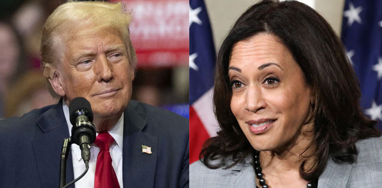 US Election campaign climax, Presidential Election, Trump-Harris contest