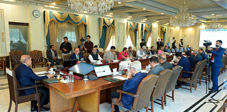 PM Shehbaz, federal Cabinet, financial assistance missing persons