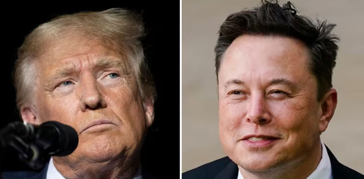 Elon Musk Donald Trump support