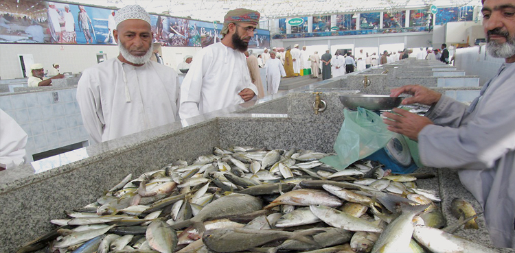 Oman kingfish, Oman bans kingfish