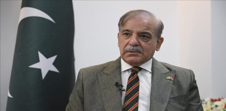 PM Shehbaz Saudi Arabia