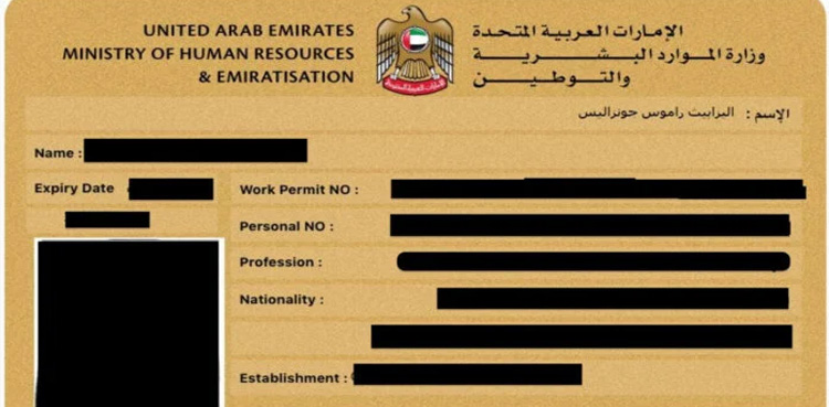 UAE, issues, E-Labor card, foreign employees