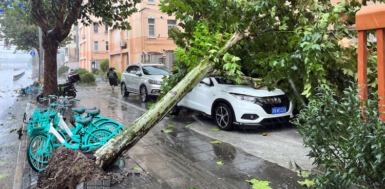 Typhoon Bebinca, Shanghai, Strongest storm