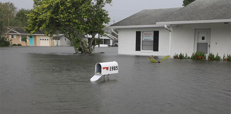 Hurricane Milton Joe Biden Visit Florida