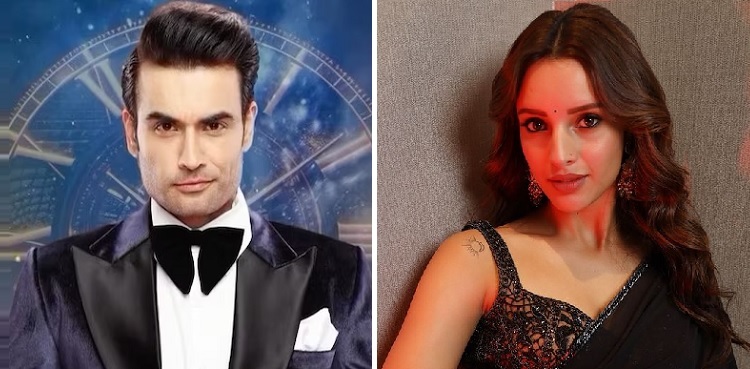 triptii dimri, vivian dsena, bigg boss 18