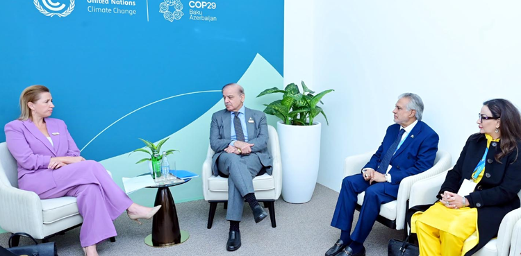 Shehbaz Sharif, COP 29, PM meeting