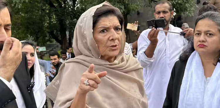 Imran Khan, PTI founder, Aleema Khan, Imran Khan sister, PTI News, Imran Khan release, PTI Protest, remittance, remittance protest