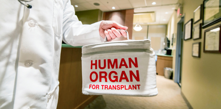 Islamabad hospitals, Kidney Transplant, Organ transplants