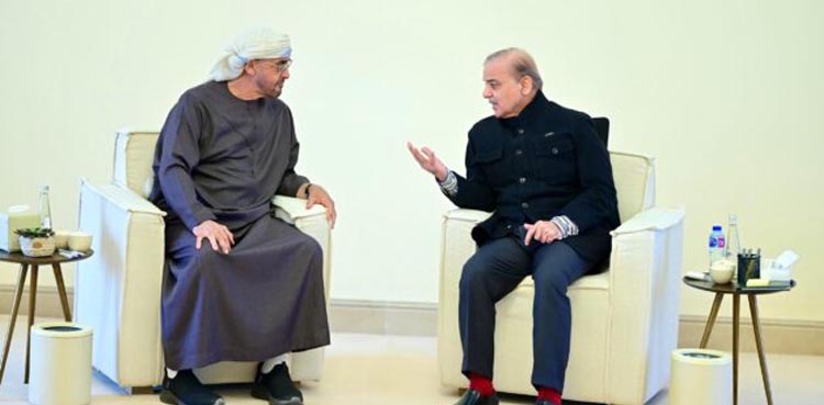 PM Shehbaz, UAE President, Pakistan