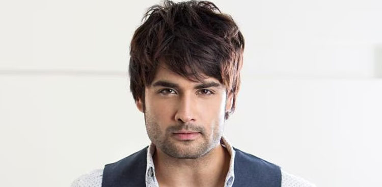 Vivian Dsena, Big Boss 18, Bahrain Government