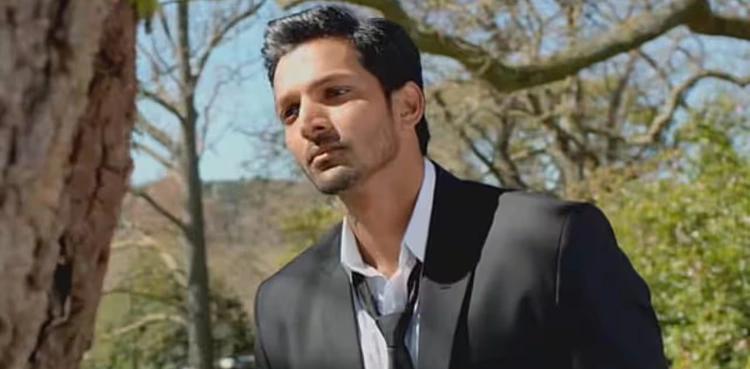 bollywood, Harshvardhan Rane, Sanam Teri Kasam, romantic film