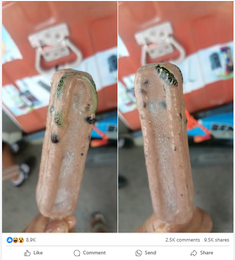 viral, snake flavor ice cream, thailand